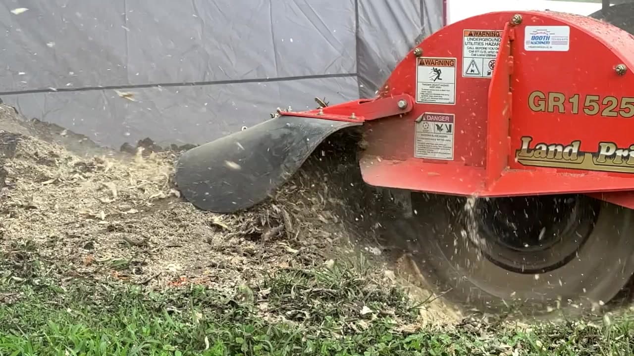 Stump grinding in action